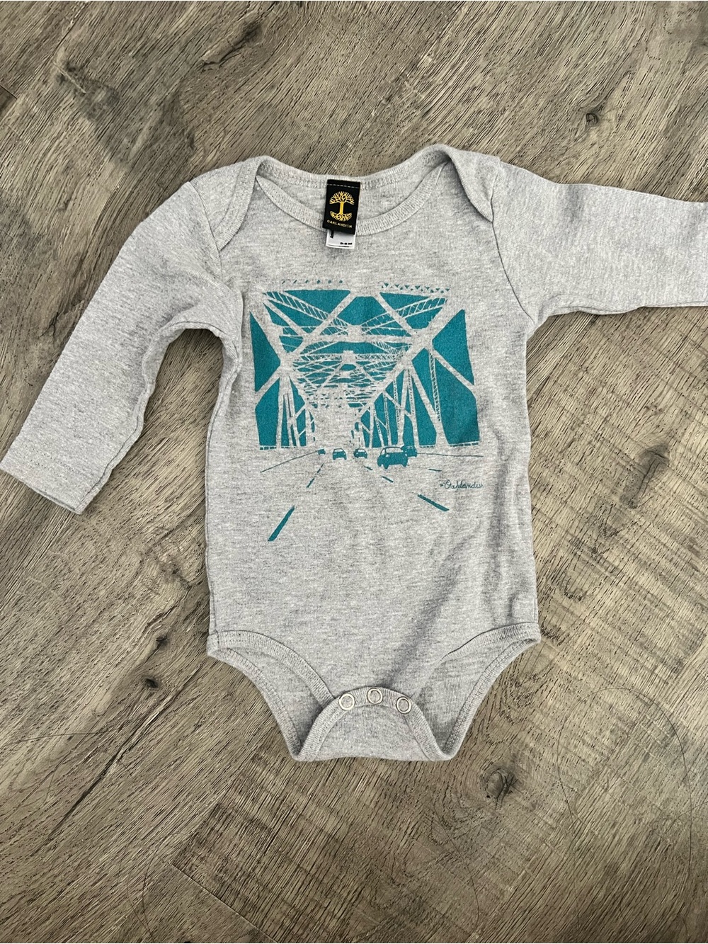 Grey Long-Sleeve Baby One-Piece with Teal Bridge Graphic